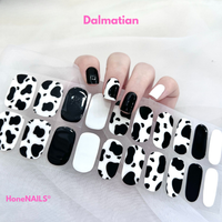 Dalmatian